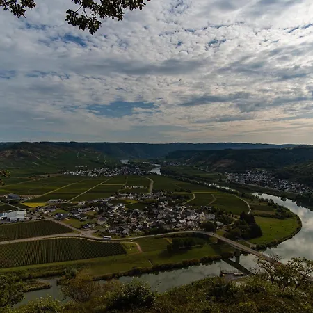 Apartamento Rieslingglueck - Urlaub Im Wein- Und Ferienort