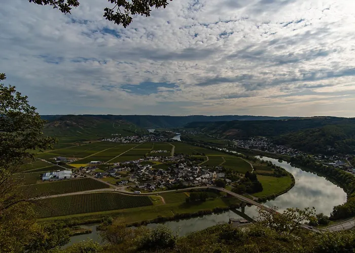 公寓 Rieslingglueck - Urlaub Im Wein- Und Ferienort